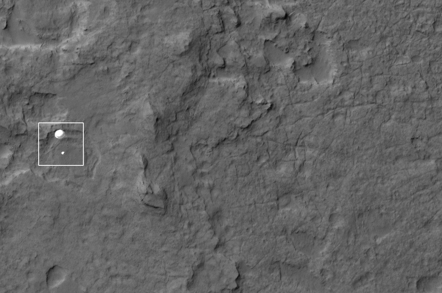 curiosity image