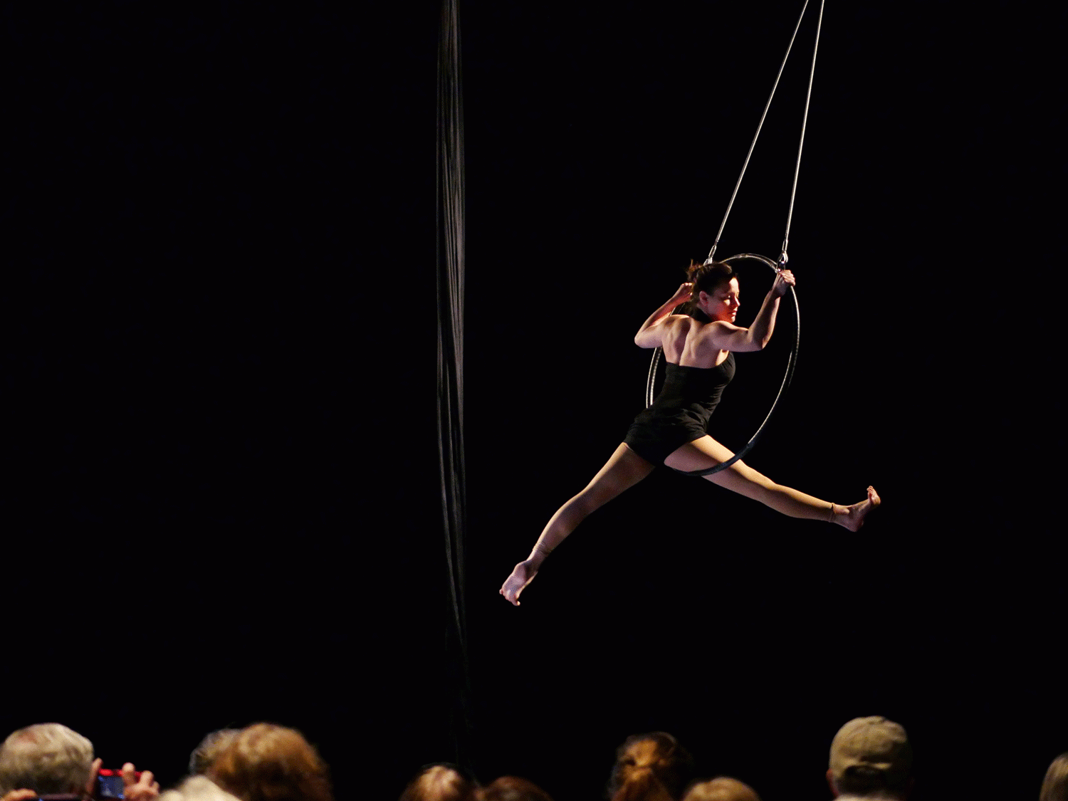 aerial dancer