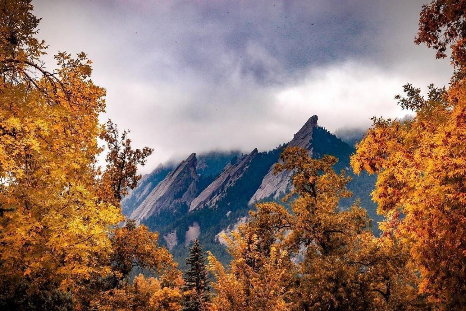 Yellow trees in front of the Flatirons