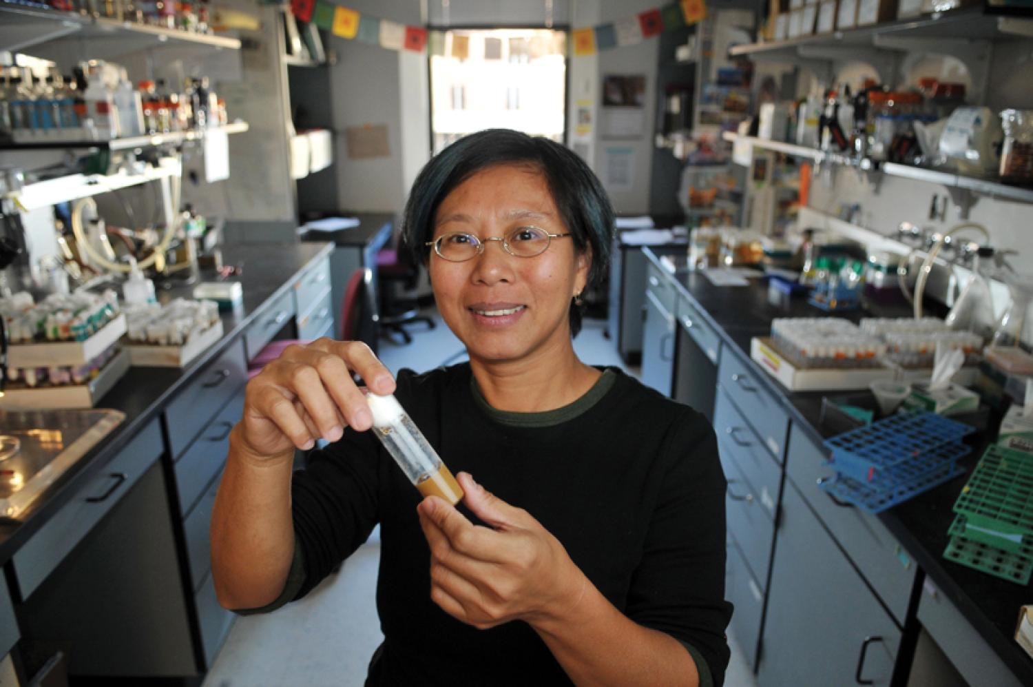 su tin tin in lab