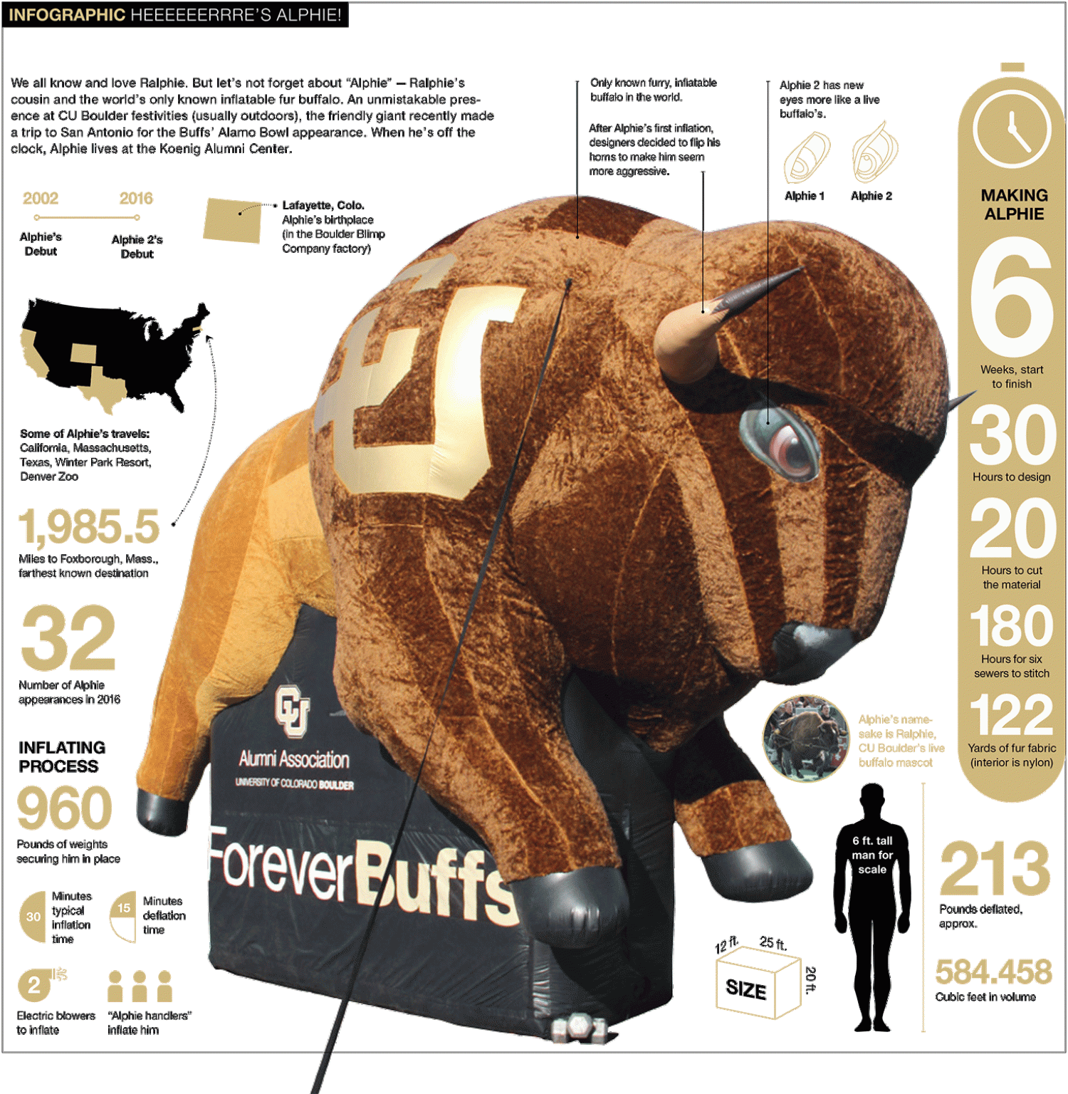 alphie infographic