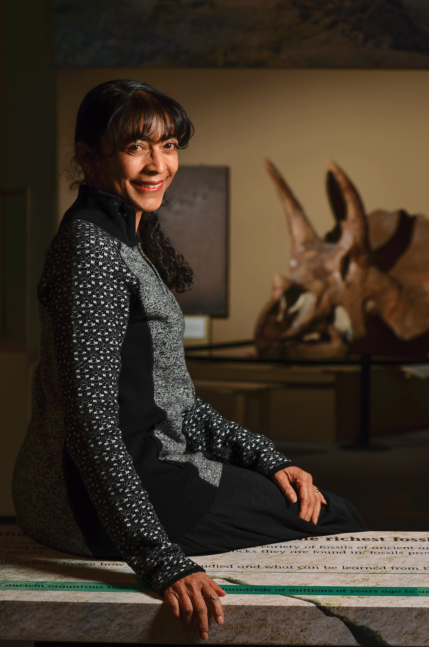 Karen Chin reconstructs the physical and social world of the big dinosaurs.