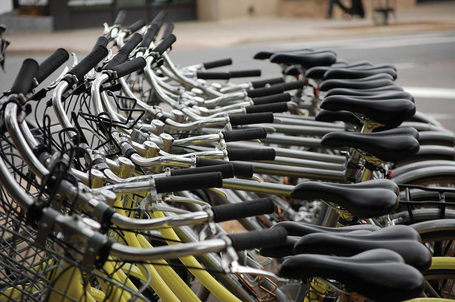 bikes in a row