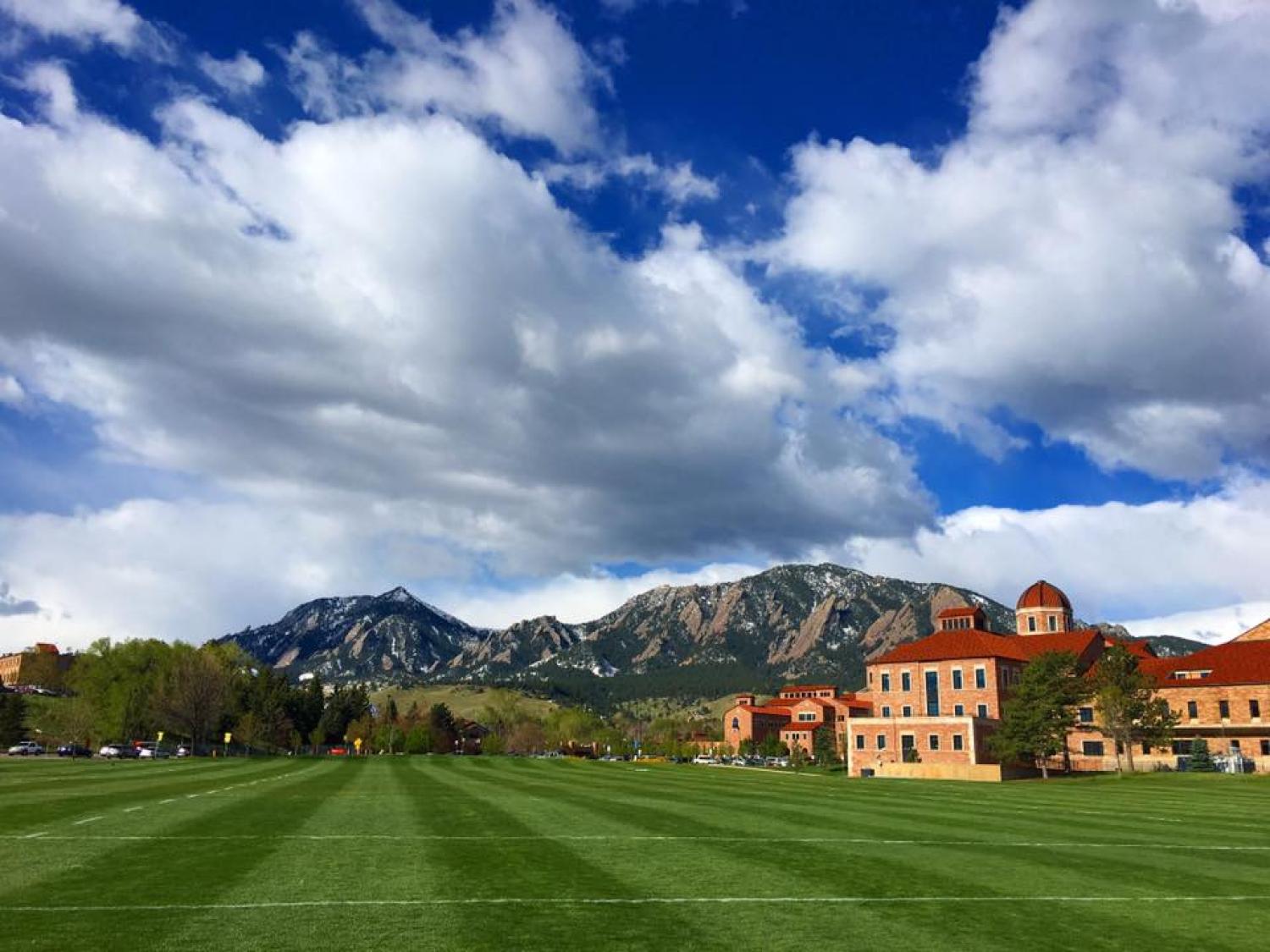 business lawn