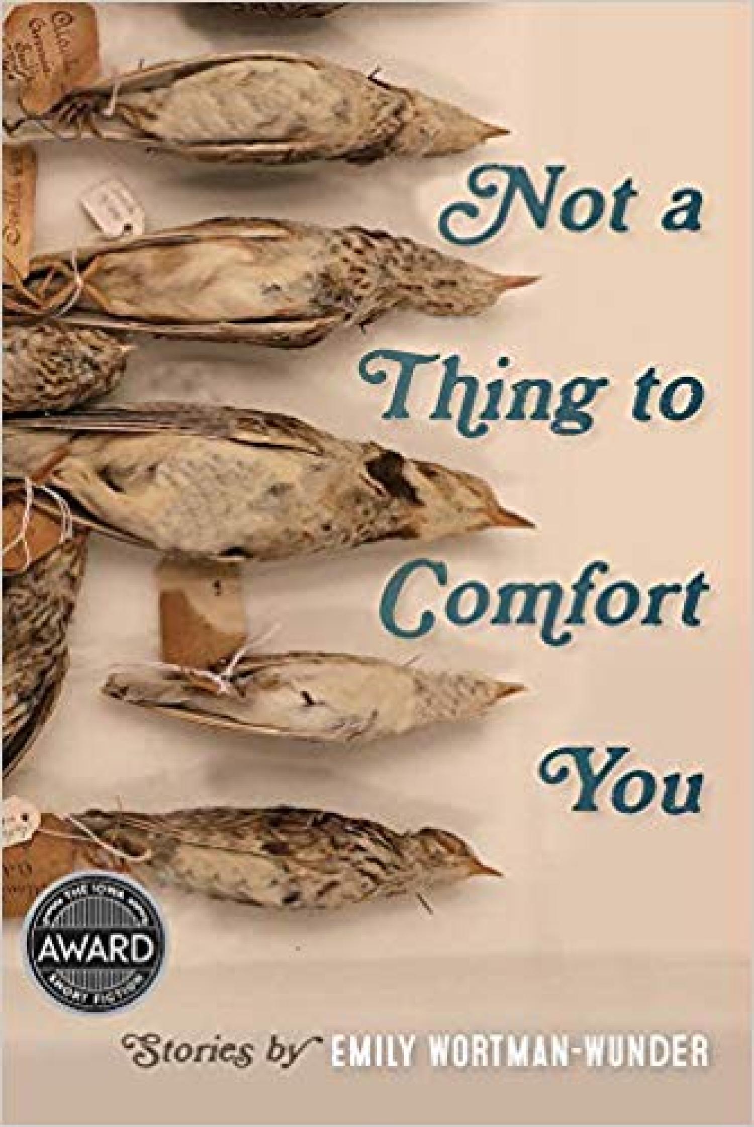 Not a Thing to Comfort You Cover