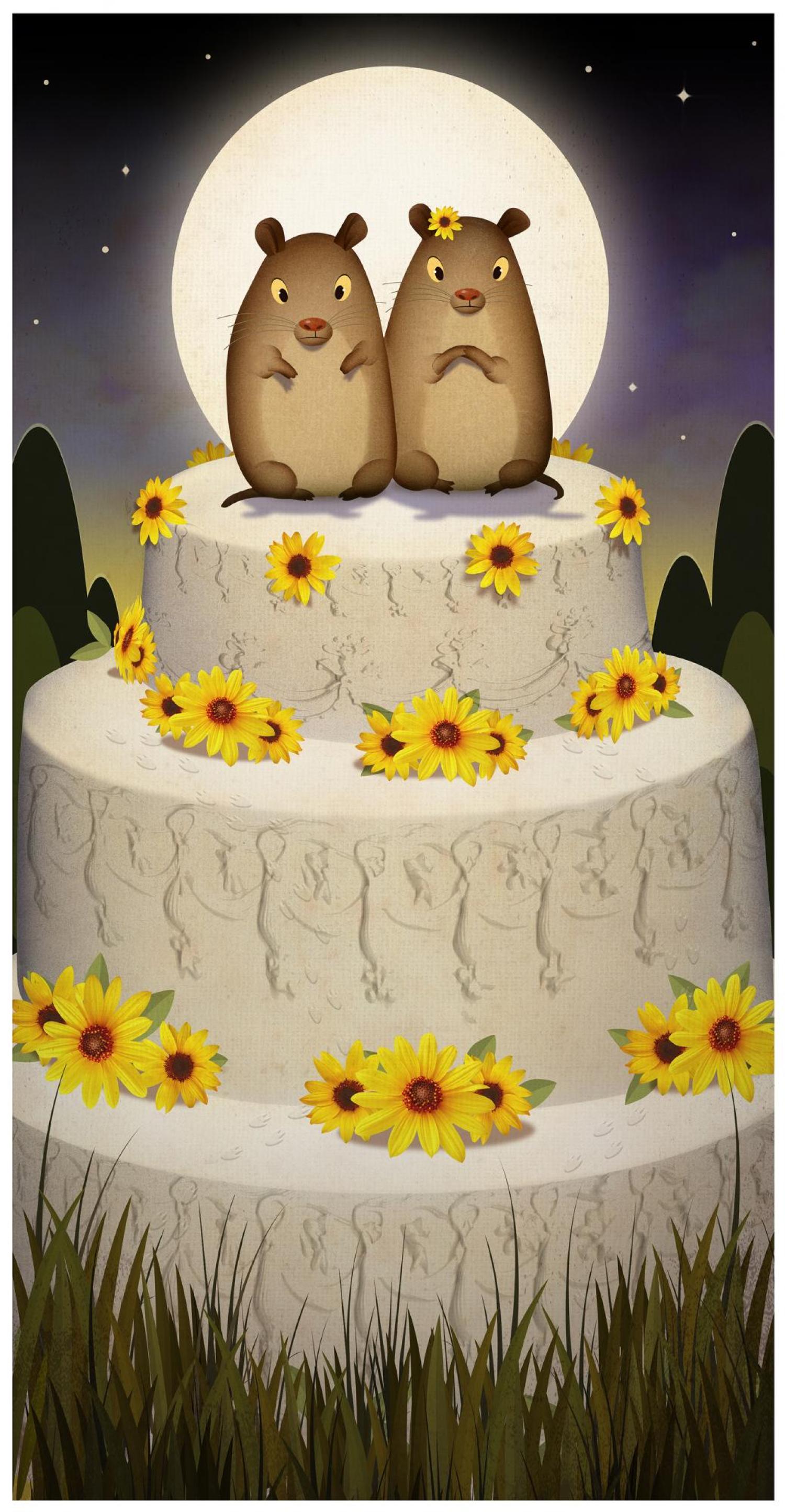Voles feature illustration
