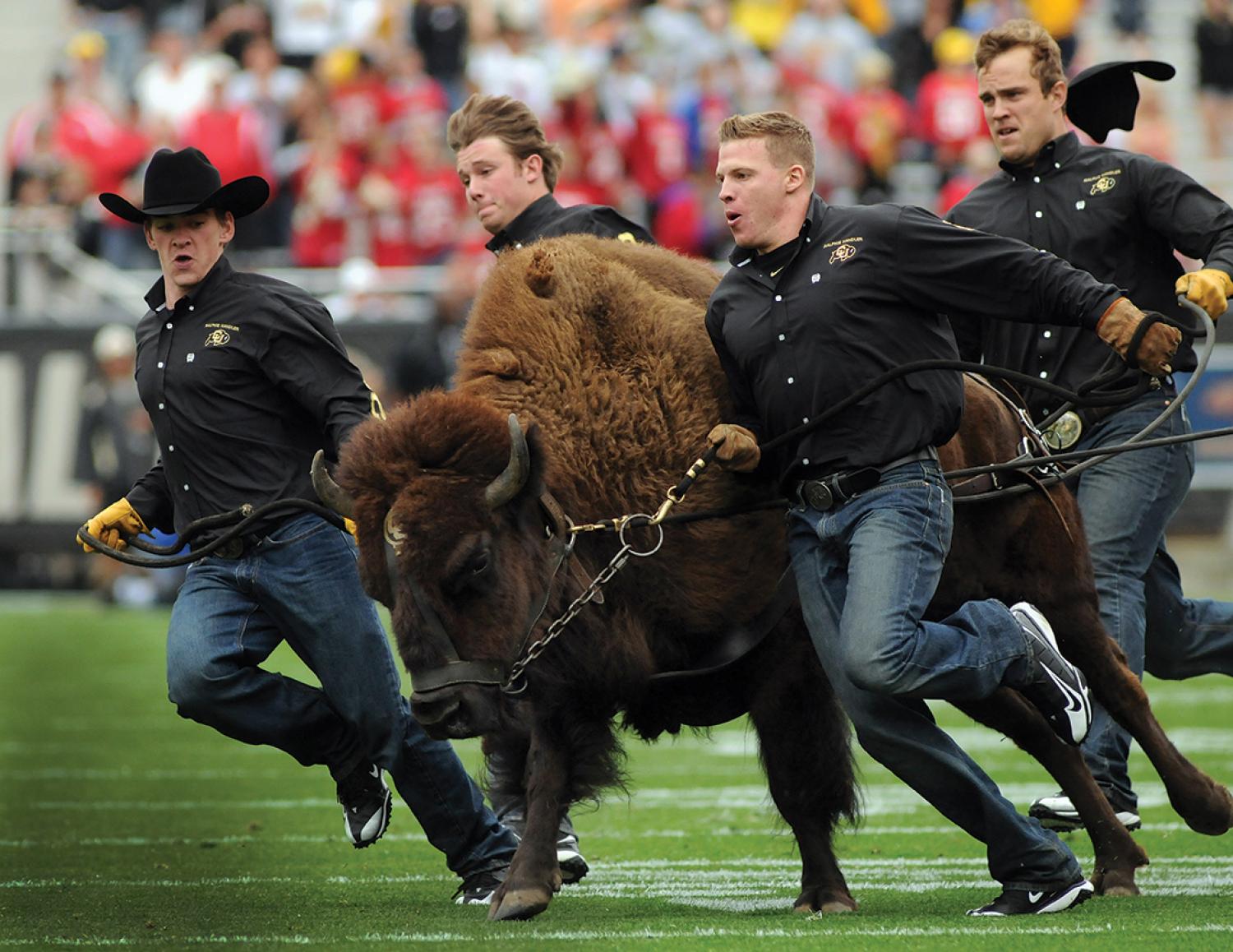 ralphie running