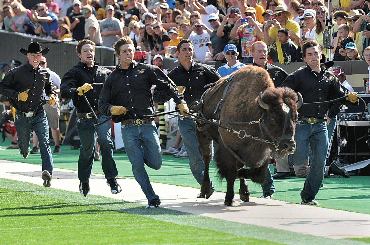 Ralphie Runners