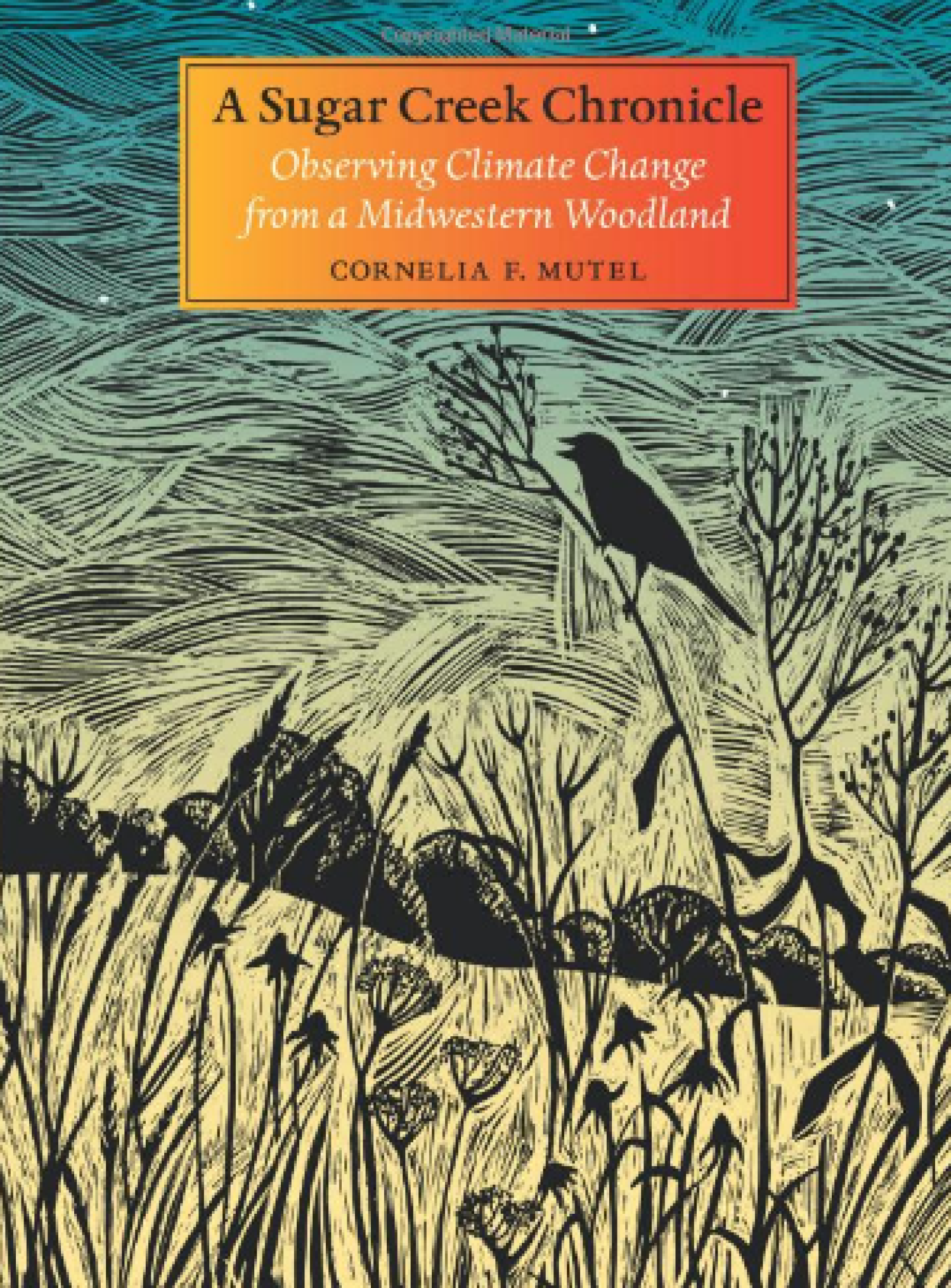 cover of the book