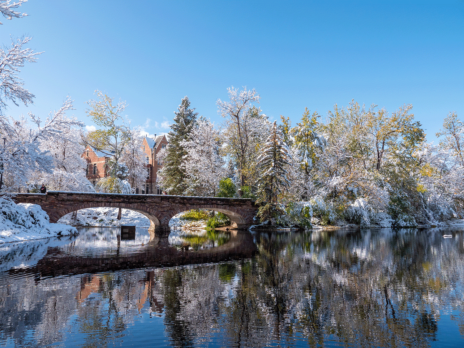 Varsity Bridge and the surrounding trees covered by an early season snowfall.