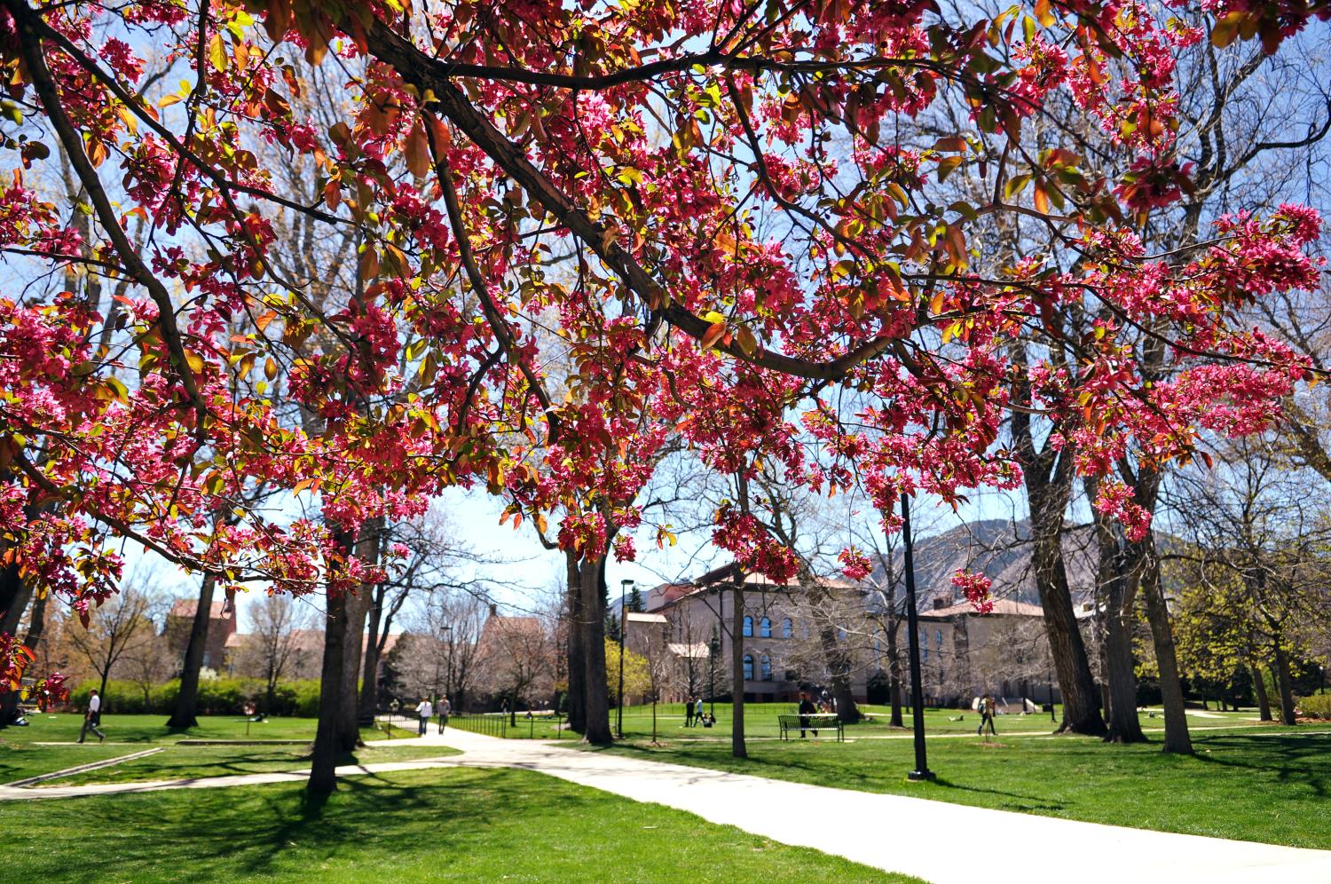 Spring scenic