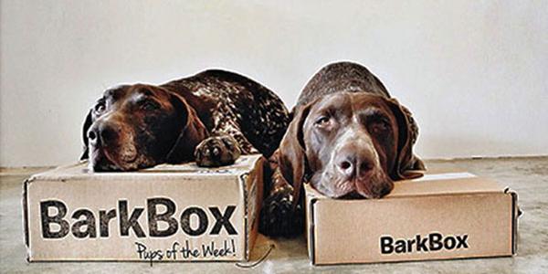 BarkBox