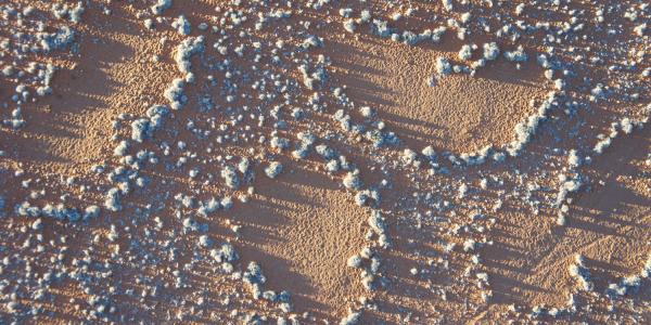 fairy circles 