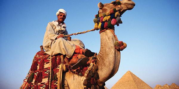 Camel and rider in Egypt