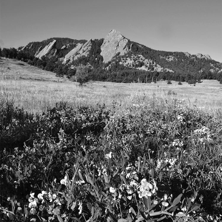 Flatirons in black and white
