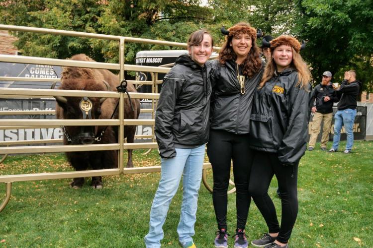 Buffalo