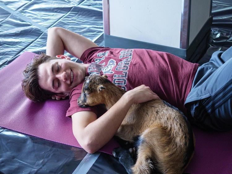 Goat Yoga at the Rec