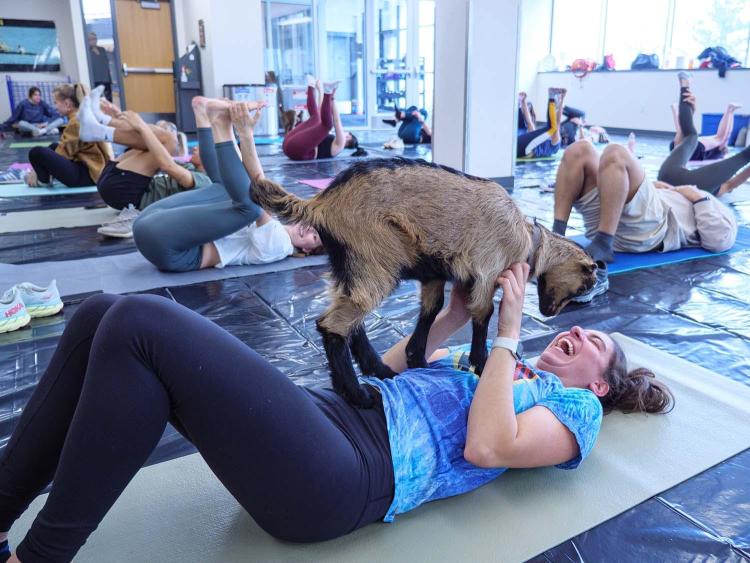Goat Yoga at the Rec