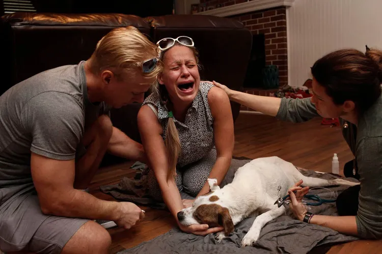 Woman saying goodbye to pet dog