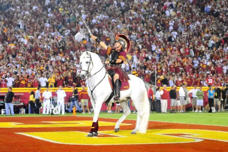 USC Horse