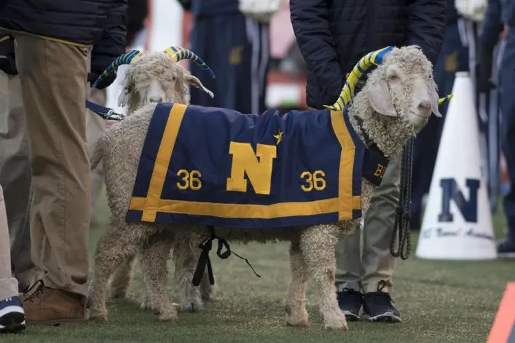 USNA, Bill the goat