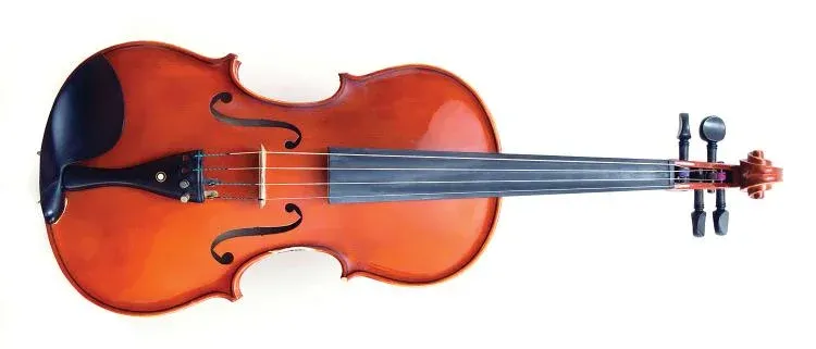 Violin pictures