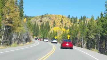 Teslas on the road