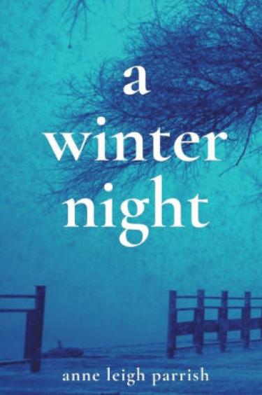 A Winter Night Cover