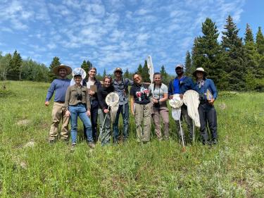 Mountain Researchers