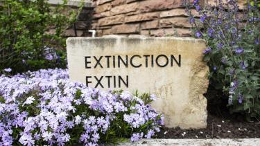 Extinction stone