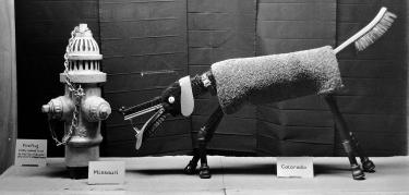 Window display from the 1900s