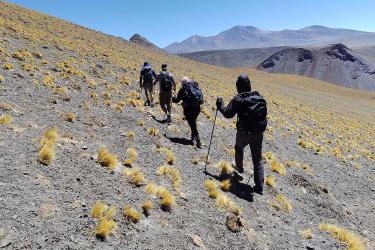 Team members hiking