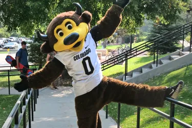 Fall Welcome