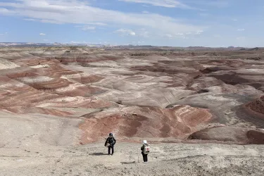 CU Mars stimulation