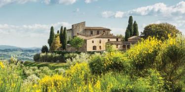 Flavors of Chianti