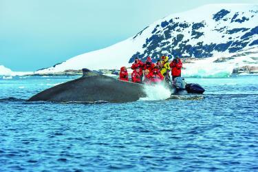 Trip to Antarctica