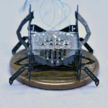 Professor created one of the smallest fastest robots