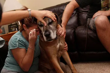Owner leaning against her dog