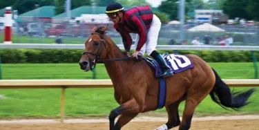 Kentucky derby pictures