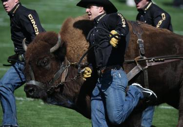 Ralphie running
