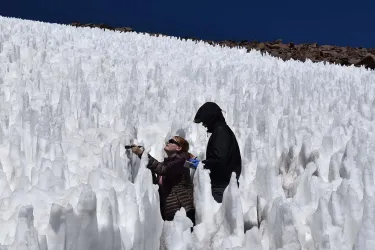 Team members in the field