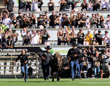 CU Game