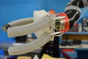 Soft Robot feature