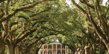 Southern Grandeur