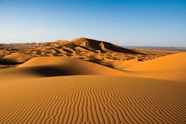 Moroccan Discovery