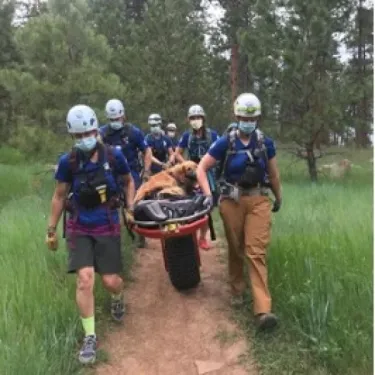 Dog Rescue