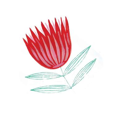 Flower illustration