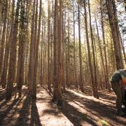 scavenger hunt in woods