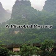 The cover has images of green trees underneath a gloomy sky with the title Coronavirus: a Microbial Mystery