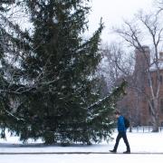 Snowy CU